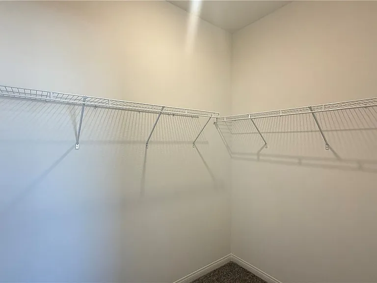 1513 Bat Hawk St — Photo 4