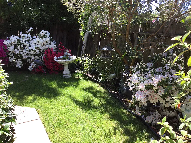 15 Sage Ct — Photo 18
