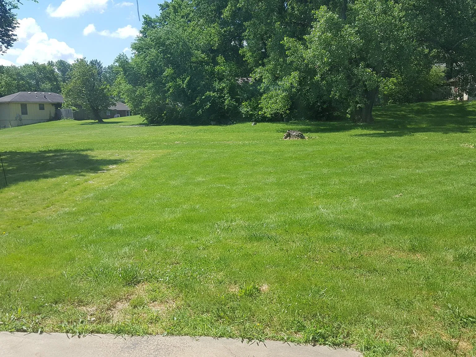 2 bed, $1,500 — Photo 4