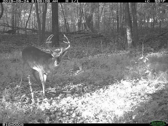 5th image of Jernigan Dr