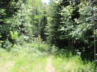 W Cherry Creek Rd, Mio, MI 48647