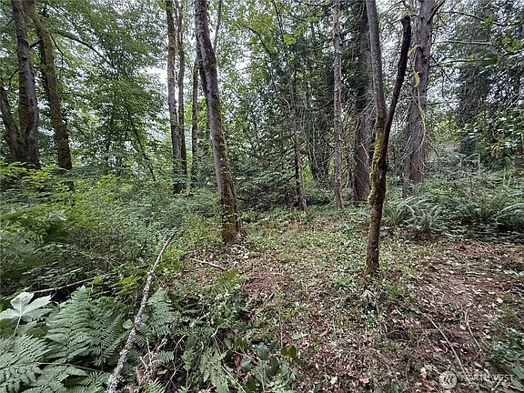 4th image of 5 xxx 229th Avenue SE