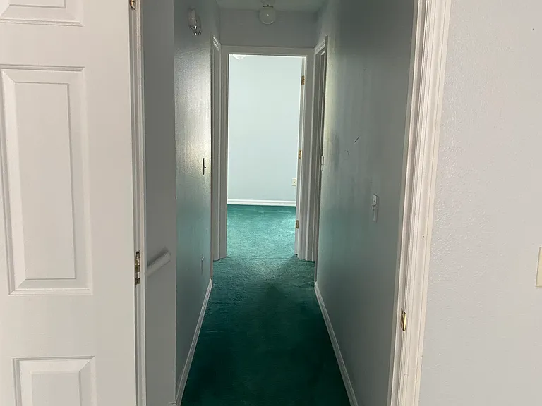 1335 Washington Palm Loop — Photo 5