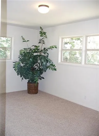 606 Nottingham Way — Photo 6
