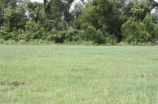 2nd image of 348 S Pass Dr