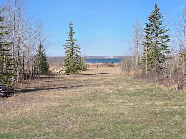 681 Springside Cres, Ponoka County, AB T0C 2J0