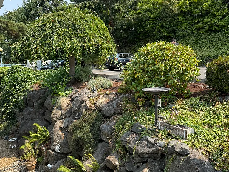landscaping and rockery with flowers