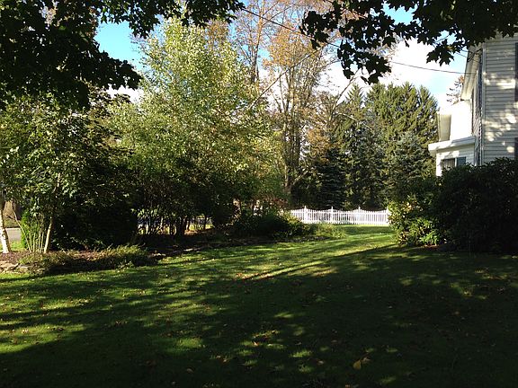 Birchwood Side Garden