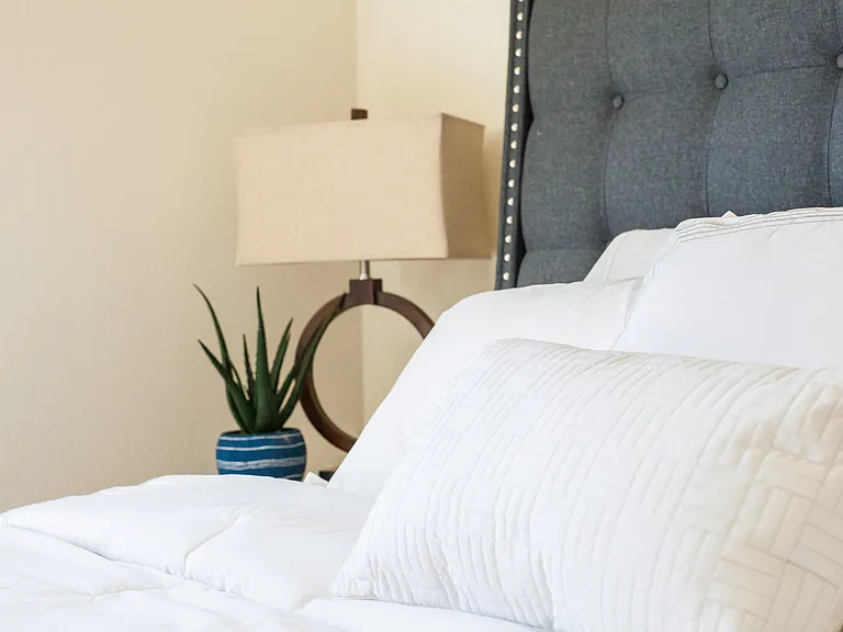 Each bedroom features lush carpet flooring.