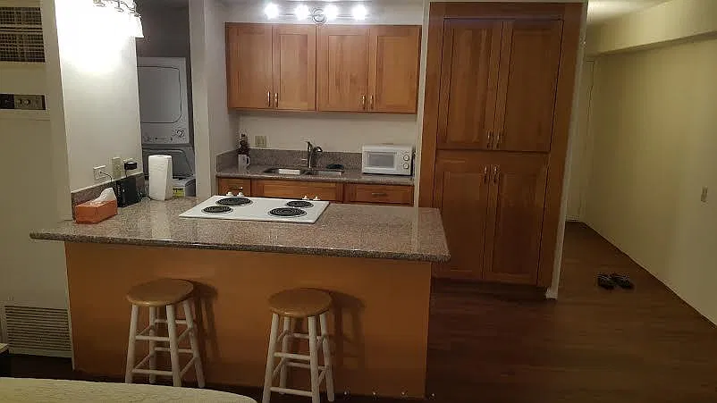 Studio, 464 sqft, $2,400 — Photo 3