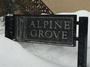 414 Pacific APT H, Aspen, CO 81611