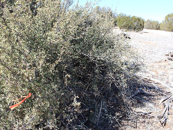 2nd image of 56596 N Bridge Canyon Pkwy