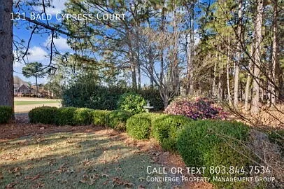 131 Bald Cypress Ct — Photo 23