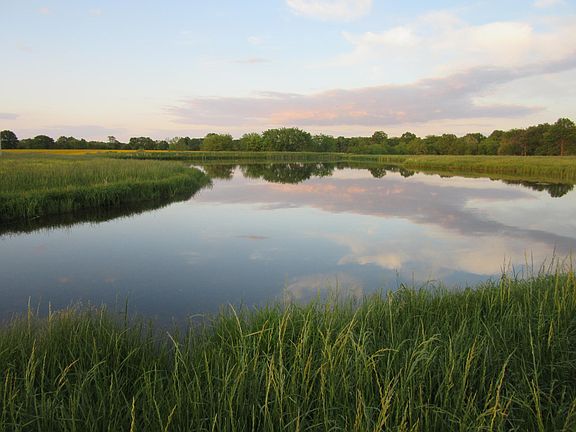 Pond several hundred yards behind house