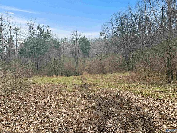 5th image of 572B County Road 676