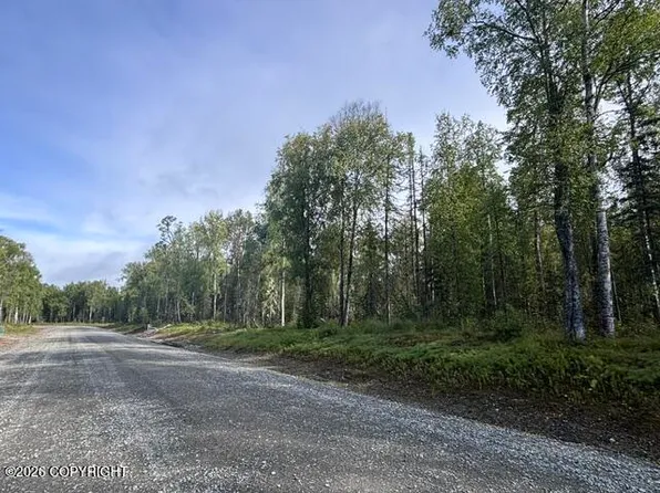 L6 S Spatterdock St, Talkeetna, AK 99676