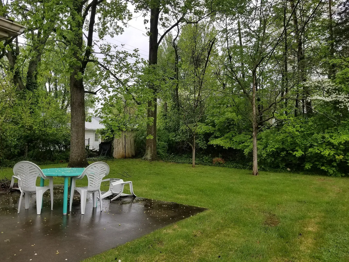 903 S Henderson St — Photo 3