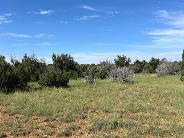 1933 Mills, Concho, AZ 85924