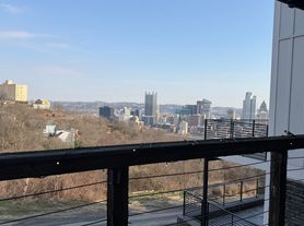 428 William St, Mount Washington, PA