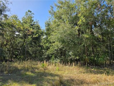 14954 W River Rd, Inglis, FL, 34449