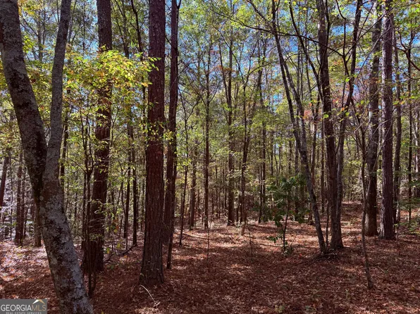 977 Whooping Creek Rd, Carrollton, GA 30116