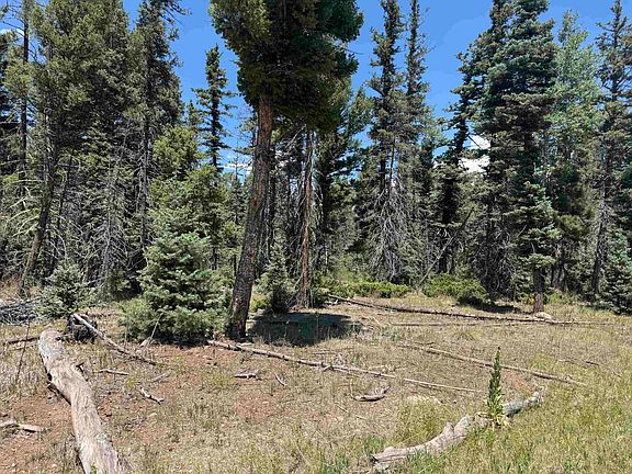 2nd image of Lot 98 Elk Meadow