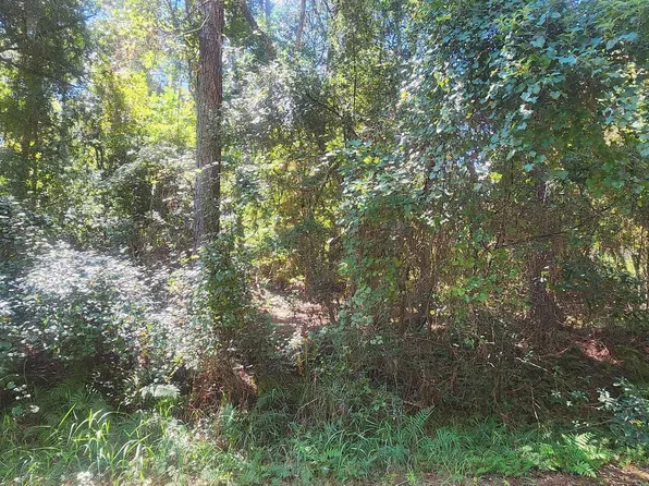 421 Dogwood Ave, Georgetown, FL 32139