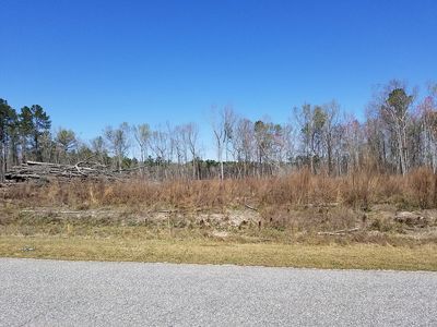 Greenall Rd, Summerton, SC, 29148