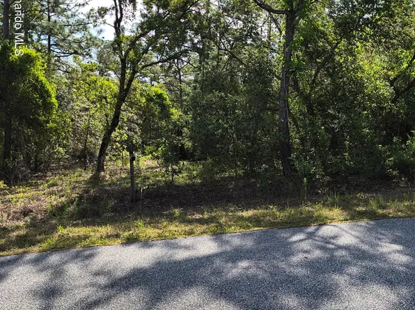 0 Christopher Ln, Brooksville, FL 34613