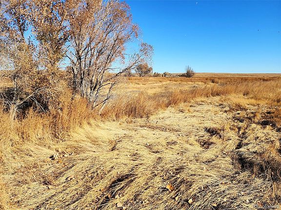 5th image of 26667 County Road 7
