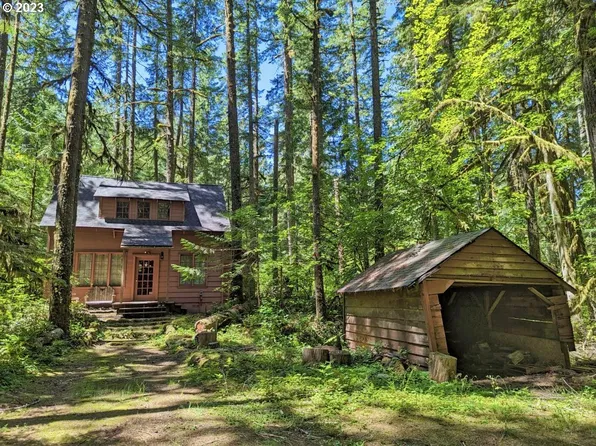 72380 E Faubion Loop Lot 5, Rhododendron, OR 97049
