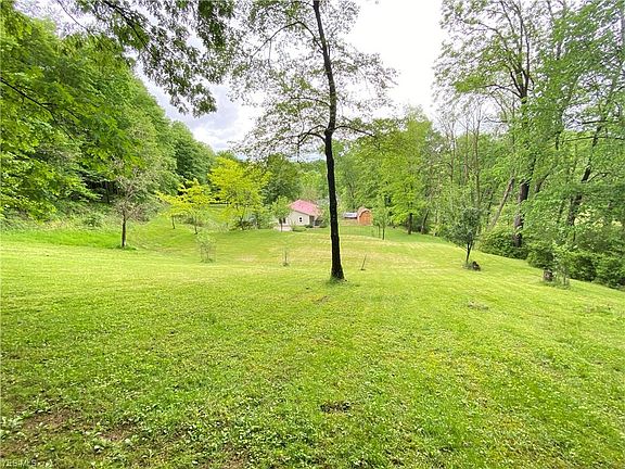 5th image of 1247 Seven Mile Dr