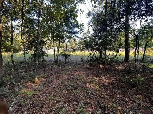 NW 55th St Lot 7, Bell, FL 32619