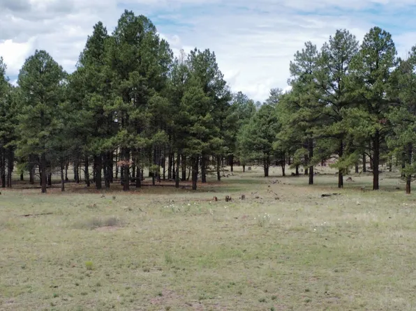 5 Laney, Luna, NM 87824