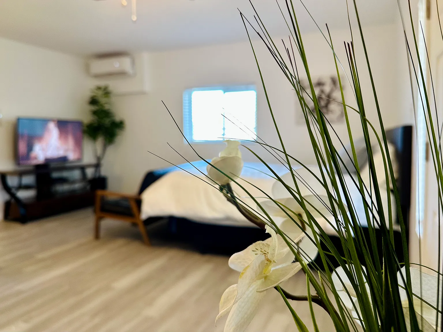 Studio, 1500 sqft, $1,550 — Photo 1