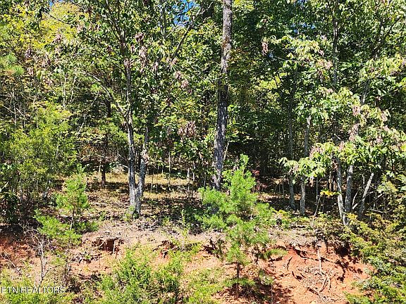 3rd image of 609 Chimney Rock Rd