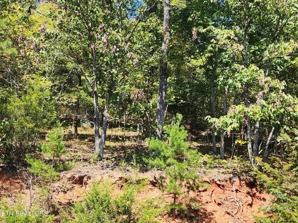 609 Chimney Rock Rd, New Tazewell, TN 37825