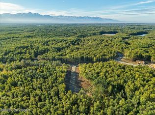 L6 B2 E Barry Cir, Wasilla, AK 99645