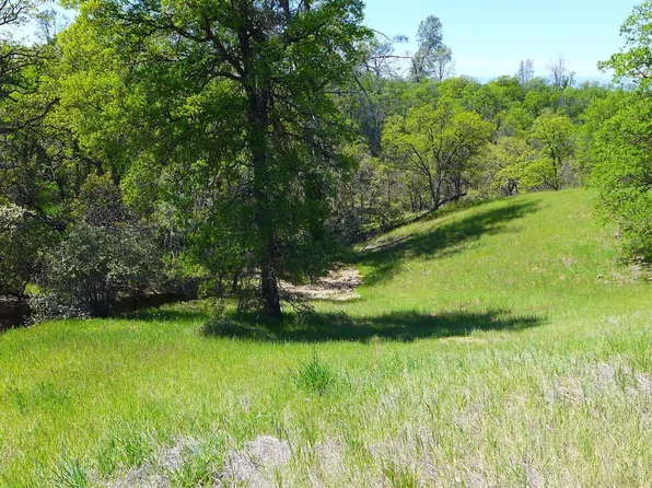 LOT 12 Rolling Ridge Rd, Cottonwood, CA 96022