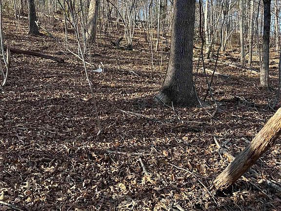 2nd image of 0 Hawkins Ln