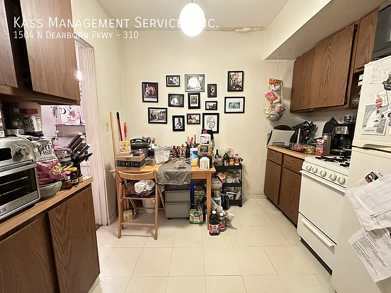 1504 N Dearborn Pkwy, Chicago, IL — Photo 10