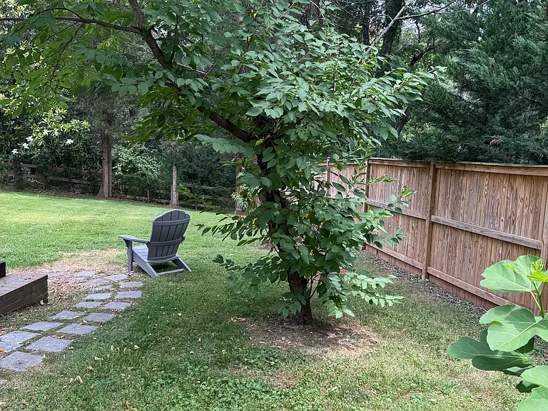 1161 Kettle Pond Ln — Photo 37