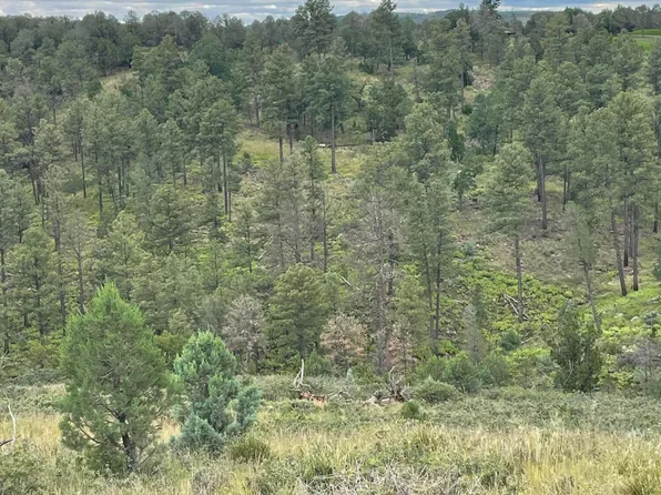 19B Lincoln Hills Dr #2, Alto, NM 88312