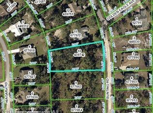 9167 Bunting Rd, Weeki Wachee, FL 34613