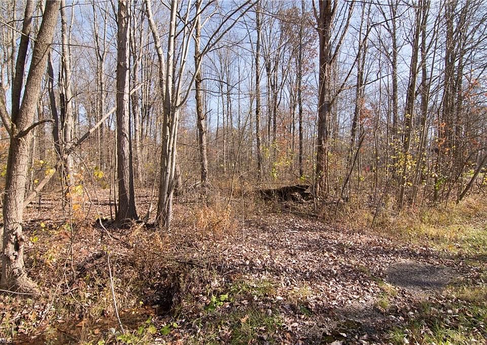 2nd image of Oriole Dr
