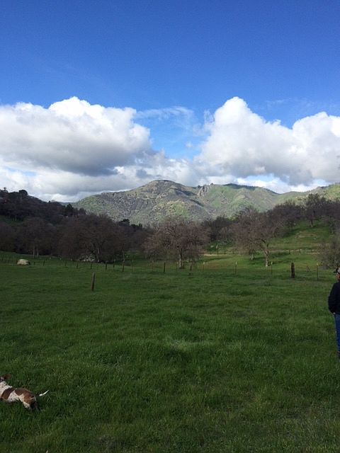 Look at these views!