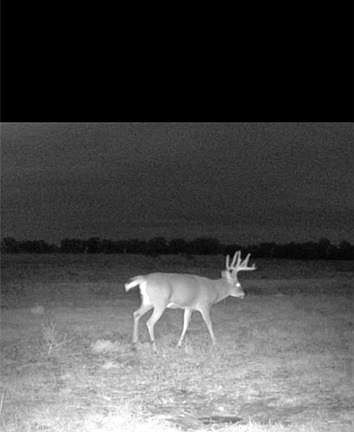 3rd image of 0 S 120th St