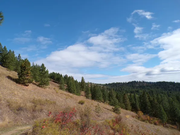 4 Xx J S, Inchelium, WA 99138