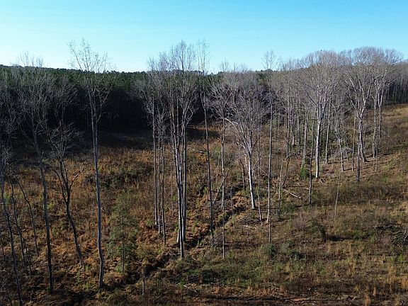 4th image of 160 Tillery Dr Lot 9