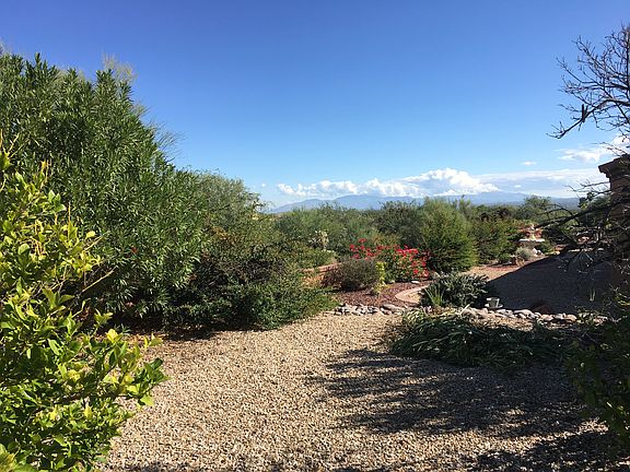 Rear yard view